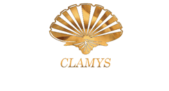 Desktop Screenshot of clamys.it