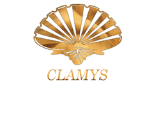 Tablet Screenshot of clamys.it